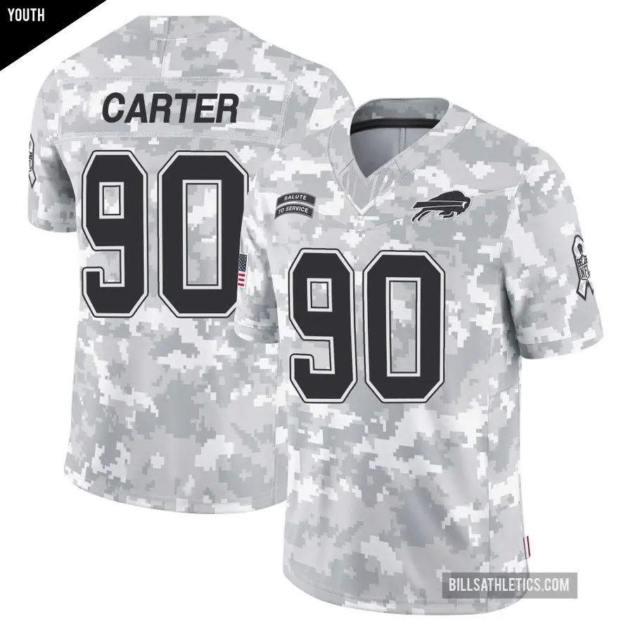 Youth Buffalo Bills ＃90 DeWayne Carter Arctic Camo Limited 2024 Salute to Service Jersey